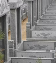 珠海祖坟墓地出现这种现象，大事不妙，千万要注意了！